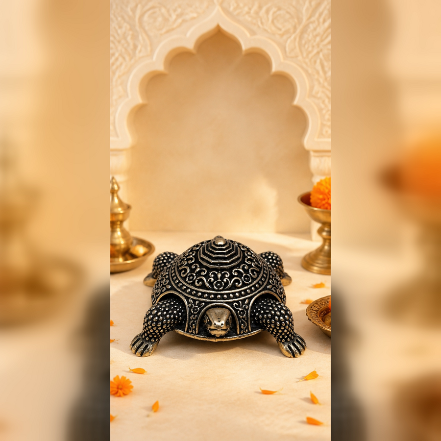 Vastu Tortoise Brass Box editorial hero